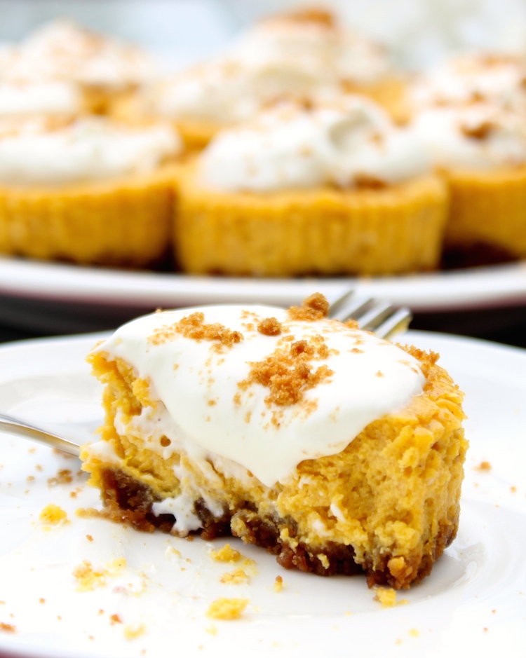 Miniature Pumpkin Gingersnap Cheesecakes- the dessert of the season? I think yes. #cheesecake #pumpkin #fall