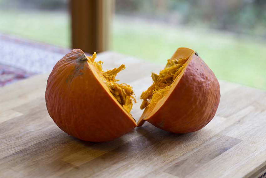 For my own pumpkin purée, I like to use a Hokkaido pumpkin. It's small, with a blood-orange exterior and a vibrant orange interior. Perfectly sweet and perfectly perfect for purée. I generally think that smaller pumpkins retain the most flavor and sweetness, so a sugar pumpkin is great too.